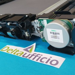 USATO - SEZIONE DI...